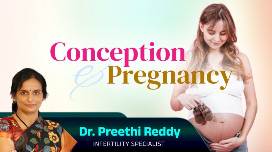 Conception & Pregnancy